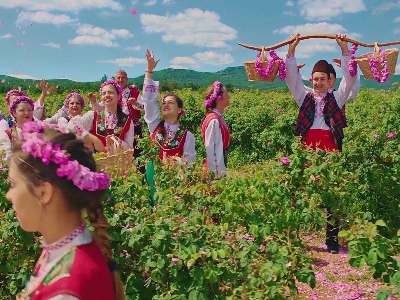 Quy trình sản xuất nước hoa hồng toner Bulgaria
